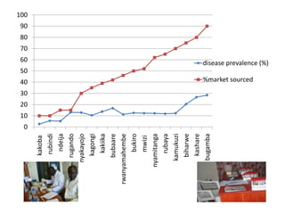 Prevalence of antibodies against Brucella among breeding goats in relation to source: A case study in Mbarara District, South Western Uganda