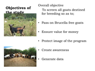 Prevalence of antibodies against Brucella among breeding goats in relation to source: A case study in Mbarara District, South Western Uganda