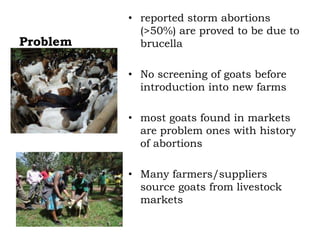 Prevalence of antibodies against Brucella among breeding goats in relation to source: A case study in Mbarara District, South Western Uganda