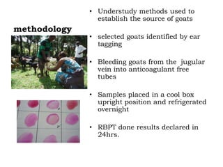 Prevalence of antibodies against Brucella among breeding goats in relation to source: A case study in Mbarara District, South Western Uganda