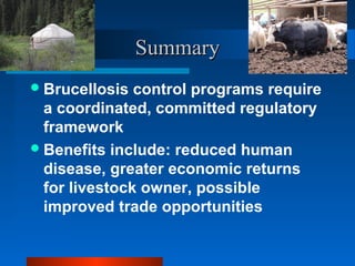 Beneficial approaches for controlling brucellosis