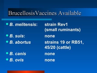 Beneficial approaches for controlling brucellosis