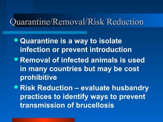 Beneficial approaches for controlling brucellosis