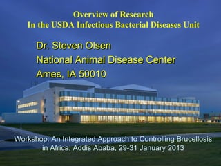 Overview of Research
In the USDA Infectious Bacterial Diseases Unit
Workshop: An Integrated Approach to Controlling Brucellosis
in Africa, Addis Ababa, 29-31 January 2013
Dr. Steven OlsenDr. Steven Olsen
National Animal Disease CenterNational Animal Disease Center
Ames, IA 50010Ames, IA 50010
 