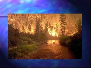 Overview of research in the USDA Infectious Bacterial Diseases Unit