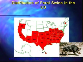 Overview of research in the USDA Infectious Bacterial Diseases Unit