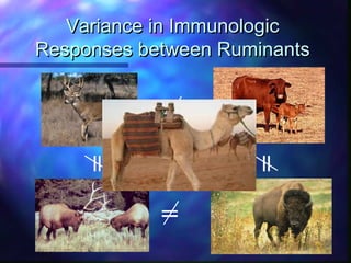 Overview of research in the USDA Infectious Bacterial Diseases Unit