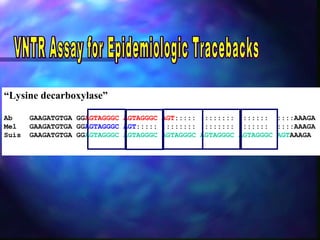 Overview of research in the USDA Infectious Bacterial Diseases Unit
