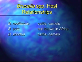 Overview of large animal brucellosis control strategies