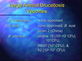 Overview of large animal brucellosis control strategies