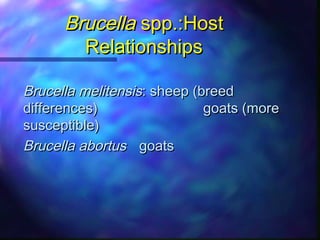Overview of small animal brucellosis control strategies