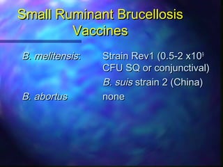 Overview of small animal brucellosis control strategies