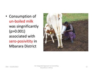Risk factors for Brucella sero-positivity in cattle, goats and humans in Mbarara, Uganda