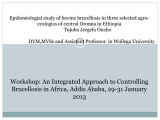 Epidemiologial study of bovine brucellosis in three selected agro-
ecologies of central Oromia in Ethiopia
Tujuba Jergefa Oncho
DVM,MVSc and Assistant Professor in Wollega University
Workshop: An Integrated Approach to Controlling
Brucellosis in Africa, Addis Ababa, 29-31 January
2013
 