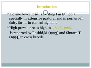 Epidemiologial study of bovine brucellosis in three selected agro-ecologies of central Oromia in Ethiopia