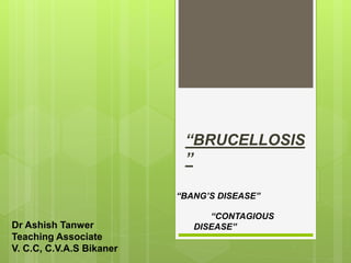 “BRUCELLOSIS
”
“CONTAGIOUS
DISEASE”
“BANG’S DISEASE”
Dr Ashish Tanwer
Teaching Associate
V. C.C, C.V.A.S Bikaner
 