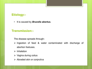 Etiology:-
• It is caused by Brucella abortus.
Transmission:-
The disease spreads through-
 Ingestion of feed & water contaminated with discharge of
abortion foetuses.
 Inhalation
 Vagina during coitus
 Abraded skin or conjnctiva
 