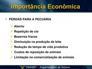 PNCEBT - Departamento de Defesa
Importância EconômicaImportância Econômica
• PERDAS PARA A PECUÁRIA
 Aborto
 Repetição de cio
 Bezerros fracos
 Diminuição na produção de leite
 Redução do tempo de vida produtiva
 Custos de reposição de animais
 Limitação na comercialização de animais
 