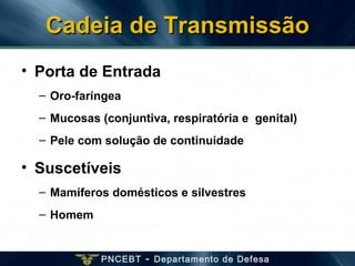 PNCEBT - Departamento de Defesa
• Porta de Entrada
– Oro-faríngea
– Mucosas (conjuntiva, respiratória e genital)
– Pele com solução de continuidade
• Suscetíveis
– Mamíferos domésticos e silvestres
– Homem
Cadeia de TransmissãoCadeia de Transmissão
 