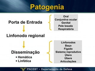 PNCEBT - Departamento de Defesa
Oral
Conjuntiva ocular
Genital
Pele lesada
Respiratória
Linfonodo regional
• Hemática
• Linfática
Linfonodos
Baço
Fígado
Sistema reprodutivo
Útero
Úbere
Articulações
Porta de Entrada
PatogeniaPatogenia
Disseminação
 