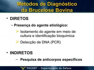 PNCEBT - Departamento de Defesa
• DIRETOS
– Presença do agente etiológico:
 Isolamento do agente em meio de
cultura e identificação bioquímica
 Detecção de DNA (PCR)
• INDIRETOS
– Pesquisa de anticorpos específicos
Métodos de DiagnósticoMétodos de Diagnóstico
da Brucelose Bovinada Brucelose Bovina
 