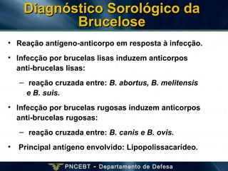 PNCEBT - Departamento de Defesa
Diagnóstico Sorológico daDiagnóstico Sorológico da
BruceloseBrucelose
• Reação antígeno-anticorpo em resposta à infecção.
• Infecção por brucelas lisas induzem anticorpos
anti-brucelas lisas:
– reação cruzada entre: B. abortus, B. melitensis
e B. suis.
• Infecção por brucelas rugosas induzem anticorpos
anti-brucelas rugosas:
– reação cruzada entre: B. canis e B. ovis.
• Principal antígeno envolvido: Lipopolissacarídeo.
 