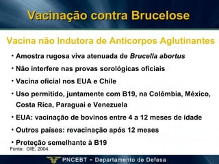 PNCEBT - Departamento de Defesa
• Amostra rugosa viva atenuada de Brucella abortus
• Não interfere nas provas sorológicas oficiais
• Vacina oficial nos EUA e Chile
• Uso permitido, juntamente com B19, na Colômbia, México,
Costa Rica, Paraguai e Venezuela
• EUA: vacinação de bovinos entre 4 a 12 meses de idade
• Outros países: revacinação após 12 meses
• Proteção semelhante à B19
Fonte: OIE, 2004.
Vacina não Indutora de Anticorpos Aglutinantes
Vacinação contra BruceloseVacinação contra Brucelose
 