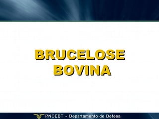 PNCEBT - Departamento de Defesa
BRUCELOSEBRUCELOSE
BOVINABOVINA
 