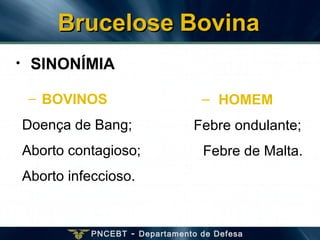 PNCEBT - Departamento de Defesa
– BOVINOS
Doença de Bang;
Aborto contagioso;
Aborto infeccioso.
• SINONÍMIA
– HOMEM
Febre ondulante;
Febre de Malta.
BruceloseBrucelose BovinaBovina
 