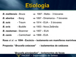 PNCEBT - Departamento de Defesa
EtiologiaEtiologia
B. melitensis - Bruce ⇒ 1887 - Malta - 3 biovares
B. abortus - Bang ⇒ 1897 - Dinamarca - 7 biovares
B. suis - Traum ⇒ 1914 - EUA - 5 biovares
B. ovis - Buddle ⇒ 1953 - Nova Zelândia
B. neotomae - Stoenner ⇒ 1957 – EUA
B. canis - Carmichael ⇒ 1968 - EUA
Ross et al. ⇒ 1994 - Escócia – isolamento em mamíferos marinhos
Proposta: “Brucella cetaceae” - isolamentos de cetáceos
“Brucella pinnipediae” - isolamentos de focas
 