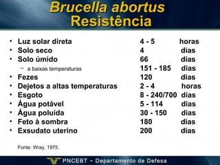 PNCEBT - Departamento de Defesa
Brucella abortusBrucella abortus
ResistênciaResistência
• Luz solar direta 4 - 5 horas
• Solo seco 4 dias
• Solo úmido 66 dias
– a baixas temperaturas 151 - 185 dias
• Fezes 120 dias
• Dejetos a altas temperaturas 2 - 4 horas
• Esgoto 8 - 240/700 dias
• Água potável 5 - 114 dias
• Água poluída 30 - 150 dias
• Feto à sombra 180 dias
• Exsudato uterino 200 dias
Fonte: Wray, 1975.
 