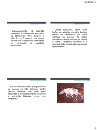 27/05/2012 
4 
Frequentemente,háretençãoplacentáriaeinfertilidadetemporáriaoupermanente.Nosmachos,ainfecçãoporB.abortuspodecausarorquitecomconsequenteinfertilidadepordiminuiçãodaqualidadeespermática. 
Lesõesarticulares,assimcomolesõesnaglândulamamáriatambémpodemserobservadasemcasoscrônicosdadoença.Aslesõesarticularescaracterizam-seporbursiteeartrite.Placentitenecróticaéaprincipallesãoencontradanosanimaisqueabortam. 
Nãohánenhumalesãopatognomônicadadoençanofetoabortado,porémpleuritefibrinosa,quepodeestarassociadaàbroncopneumoniasupurativaepericarditefibrinosa,ocorrecomfrequência  