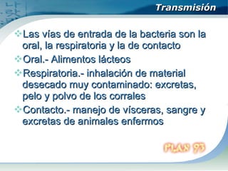 Transmisión Las vías de entrada de la bacteria son la oral, la respiratoria y la de contacto  Oral.- Alimentos lácteos Respiratoria.-  inhalación de material desecado muy contaminado: excretas, pelo y polvo de los corrales  Contacto.-  manejo de vísceras, sangre y excretas de animales enfermos 