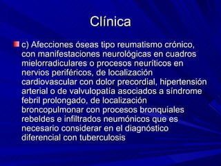 Clínica c) Afecciones óseas tipo reumatismo crónico, con manifestaciones neurológicas en cuadros mielorradiculares o procesos neuríticos en nervios periféricos, de localización cardiovascular con dolor precordial, hipertensión arterial o de valvulopatía asociados a síndrome febril prolongado, de localización broncopulmonar con procesos bronquiales rebeldes e infiltrados neumónicos que es necesario considerar en el diagnóstico diferencial con tuberculosis  