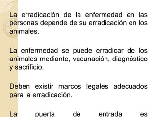 La erradicación de la enfermedad en las
personas depende de su erradicación en los
animales.

La enfermedad se puede erradicar de los
animales mediante, vacunación, diagnóstico
y sacrificio.

Deben existir marcos legales adecuados
para la erradicación.

La     puerta      de      entrada     es
 