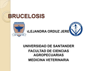 BRUCELOSIS

     ALEJANDRA ORDUZ JEREZ



    UNIVERSIDAD DE SANTANDER
      FACULTAD DE CIENCIAS
         AGROPECUARIAS
      MEDICINA VETERINARIA
 