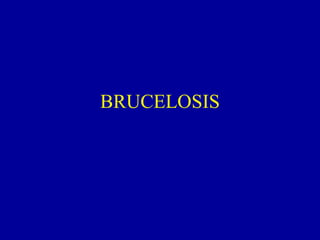 BRUCELOSIS 