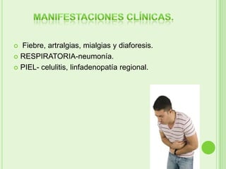  Fiebre, artralgias, mialgias y diaforesis.
 RESPIRATORIA-neumonía.

 PIEL- celulitis, linfadenopatía regional.
 