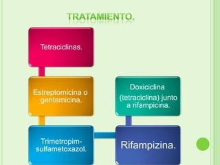 Tetraciclinas.




                       Doxiciclina
Estreptomicina o
  gentamicina.     (tetraciclina) junto
                      a rifampicina.



 Trimetropim-
sulfametoxazol.    Rifampizina.
 
