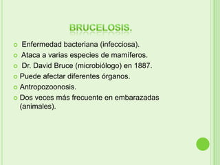   Enfermedad bacteriana (infecciosa).
 Ataca a varias especies de mamíferos.

 Dr. David Bruce (microbiólogo) en 1887.

 Puede afectar diferentes órganos.

 Antropozoonosis.

 Dos veces más frecuente en embarazadas
  (animales).
 