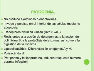  No produce exotoxinas o endotoxinas.
 Invade y persiste en el interior de las células mediante
  apoptosis.
 Receptores histidina kinasa (BvrS/BvrR)

 Resistentes a la acción de detergentes, a la acción de
  polimixina B, a la proteólisis de enzimas, así como a la
  digestión de la lisozima.
 Lipopolisacárido: Diferenciación antígenos A y M.

 Polisacárido B.

 PM: porina y la lipoproteína, inducen respuesta humoral
  durante infección.
 