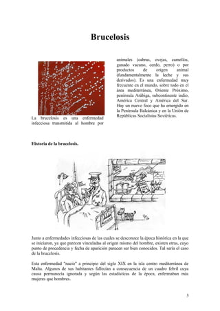 Brucelosis
La brucelosis es una enfermedad
infecciosa transmitida al hombre por
animales (cabras, ovejas, camellos,
ganado vacuno, cerdo, perro) o por
productos de origen animal
(fundamentalmente la leche y sus
derivados). Es una enfermedad muy
frecuente en el mundo, sobre todo en el
área mediterránea, Oriente Próximo,
península Arábiga, subcontinente indio,
América Central y América del Sur.
Hay un nuevo foco que ha emergido en
la Península Balcánica y en la Unión de
Repúblicas Socialistas Soviéticas.
Historia de la brucelosis.
Junto a enfermedades infecciosas de las cuales se desconoce la época histórica en la que
se iniciaron, ya que parecen vinculadas al origen mismo del hombre, existen otras, cuyo
punto de procedencia y fecha de aparición parecen ser bien conocidos. Tal sería el caso
de la brucelosis.
Esta enfermedad "nació" a principio del siglo XIX en la isla centro mediterránea de
Malta. Algunos de sus habitantes fallecían a consecuencia de un cuadro febril cuya
causa permanecía ignorada y según las estadísticas de la época, enfermaban más
mujeres que hombres.
3
 