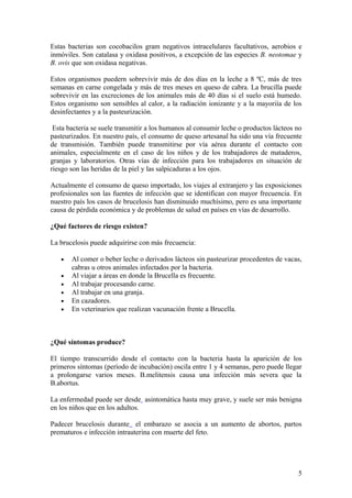 Estas bacterias son cocobacilos gram negativos intracelulares facultativos, aerobios e
inmóviles. Son catalasa y oxidasa positivos, a excepción de las especies B. neotomae y
B. ovis que son oxidasa negativas.
Estos organismos puedern sobrevivir más de dos días en la leche a 8 ºC, más de tres
semanas en carne congelada y más de tres meses en queso de cabra. La brucilla puede
sobrevivir en las excreciones de los animales más de 40 días si el suelo está humedo.
Estos organismo son sensibles al calor, a la radiación ionizante y a la mayoriía de los
desinfectantes y a la pasteurización.
Esta bacteria se suele transmitir a los humanos al consumir leche o productos lácteos no
pasteurizados. En nuestro país, el consumo de queso artesanal ha sido una vía frecuente
de transmisión. También puede transmitirse por vía aérea durante el contacto con
animales, especialmente en el caso de los niños y de los trabajadores de mataderos,
granjas y laboratorios. Otras vías de infección para los trabajadores en situación de
riesgo son las heridas de la piel y las salpicaduras a los ojos.
Actualmente el consumo de queso importado, los viajes al extranjero y las exposiciones
profesionales son las fuentes de infección que se identifican con mayor frecuencia. En
nuestro país los casos de brucelosis han disminuido muchísimo, pero es una importante
causa de pérdida económica y de problemas de salud en países en vías de desarrollo.
¿Qué factores de riesgo existen?
La brucelosis puede adquirirse con más frecuencia:
• Al comer o beber leche o derivados lácteos sin pasteurizar procedentes de vacas,
cabras u otros animales infectados por la bacteria.
• Al viajar a áreas en donde la Brucella es frecuente.
• Al trabajar procesando carne.
• Al trabajar en una granja.
• En cazadores.
• En veterinarios que realizan vacunación frente a Brucella.
¿Qué síntomas produce?
El tiempo transcurrido desde el contacto con la bacteria hasta la aparición de los
primeros síntomas (período de incubación) oscila entre 1 y 4 semanas, pero puede llegar
a prolongarse varios meses. B.melitensis causa una infección más severa que la
B.abortus.
La enfermedad puede ser desde asintomática hasta muy grave, y suele ser más benigna
en los niños que en los adultos.
Padecer brucelosis durante el embarazo se asocia a un aumento de abortos, partos
prematuros e infección intrauterina con muerte del feto.
5
 