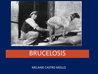 BRUCELOSIS
MELANIE CASTRO MOLLO
 