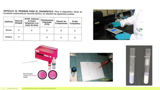 12 17 de junio de 2014 UNIVERSIDAD NACIONAL DE COLOMBIA SEDE MEDELLÍN
 
