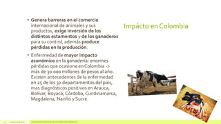 Impácto en Colombia
• Genera barreras en el comercio
internacional de animales y sus
productos, exige inversión de los
distintos estamentos y de los ganaderos
para su control, además produce
pérdidas en la producción.
• Enfermedad de mayor impacto
económico en la ganadería: enormes
pérdidas que ocasiona en Colombia ->
más de 30.000 millones de pesos al año.
Existen antecedentes de la enfermedad
en 25 de los 32 departamentos del país,
mas diagnósticos positivos en Arauca,
Bolívar, Boyacá, Córdoba, Cundinamarca,
Magdalena, Nariño y Sucre.
14 17 de junio de 2014 UNIVERSIDAD NACIONAL DE COLOMBIA SEDE MEDELLÍN
 