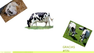 GRACIAS
#FIN15 17 de junio de 2014 UNIVERSIDAD NACIONAL DE COLOMBIA SEDE MEDELLÍN
 