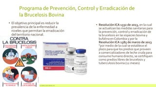 Programa de Prevención, Control y Erradicación de
la Brucelosis Bovina
• El objetivo principal es reducir la
prevalencia de la enfermedad a
niveles que permitan la erradicación
del territorio nacional.
• Resolución ICA 1332 de 2013, en la cual
se actualizan las medidas sanitarias para
la prevención, control y erradicación de
la brucelosis en las especies bovina y
bufalina en Colombia y por la
Resolución ICA 1385 de marzo de 2013
“por medio de la cual se establece el
plazo para que los predios que proveen
a comercializadores de leche cruda para
consumo humano directo, se certifiquen
como predios libres de brucelosis y
tuberculosis bovina (12 meses)
8 17 de junio de 2014 UNIVERSIDAD NACIONAL DE COLOMBIA SEDE MEDELLÍN
 
