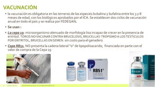 VACUNACIÓN
• la vacunación es obligatoria en las terneras de las especies bubalina y bufalina entre los 3 y 8
meses de edad, con los biológicos aprobados por el ICA. Se establecen dos ciclos de vacunación
anual en todo el país y se realiza por FEDEGAN.
• Se usan :
• La cepa 19: microorganismo atenuado de morfología lisa incapaz de crecer en la presencia de
eritritol. TOROS NOVACUNAR CONTRA BRUCELOSIS, BRUCELLAS TROPISMOA LOSTESTICULOS
POR ERITRITOL, BRUCELLAS EN SEMEN. sin costo para el ganadero
• Cepa RB51, NO presenta la cadena lateral “0” de lipopolisacarido; financiada en parte con el
valor de compra de la Cepa 19
9 17 de junio de 2014 UNIVERSIDAD NACIONAL DE COLOMBIA SEDE MEDELLÍN
 