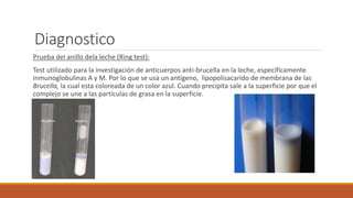 Diagnostico
Prueba del anillo dela leche (Ring test):
Test utilizado para la investigación de anticuerpos anti-brucella en la leche, específicamente
inmunoglobulinas A y M. Por lo que se usa un antígeno, lipopolisacarido de membrana de las
Brucella, la cual esta coloreada de un color azul. Cuando precipita sale a la superficie por que el
complejo se une a las partículas de grasa en la superficie.
 